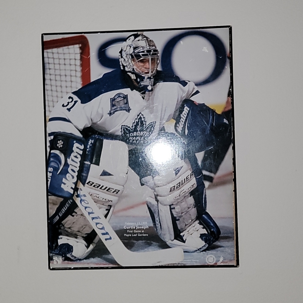 Toronto maple leafs picture
